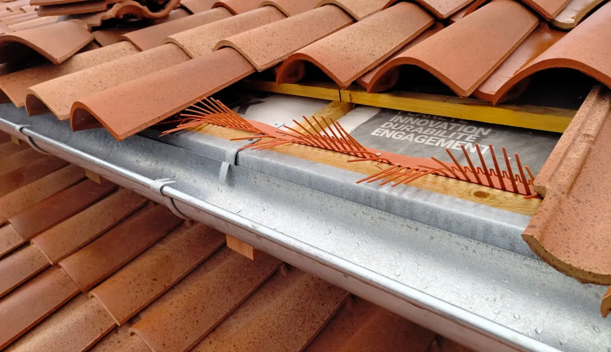 Grille d'égout ventilée stop-piaf installée à Saintes (17)